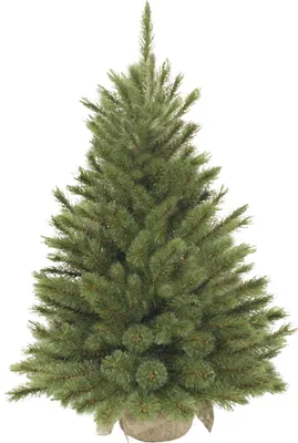 Image de Triumph Tree Arbre de Noël artificiel Forest frosted - 62x62x90 cm - Aiguille dure - Vert