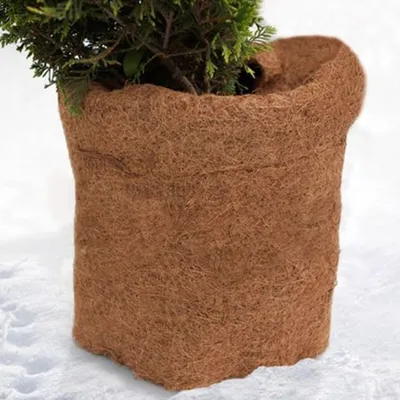 Produktbild von Pflanzen Kokosmatte Winterschutz Pflanzenschutz Frostschutz Kokosfaser 150x50cm