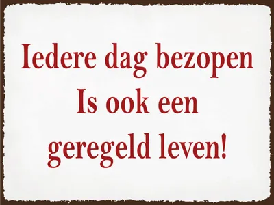 Produktbild von vianmo Blechschild 12x18 cm ledere dag bezopen is ook een geregeld leven