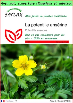 Image de SAFLAX Garden to go - La potentille ansérine - 20 graines - Potentilla