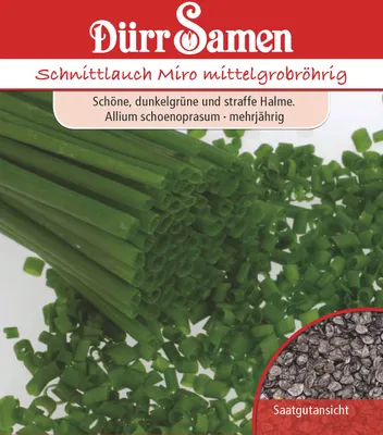 Produktbild von Schnittlauch mittelgrobröhrig | Schnittlauchsamen von Dürr Samen