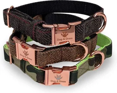 Image de Collier pour chien en nylon rose, 2 m de long, grande taille