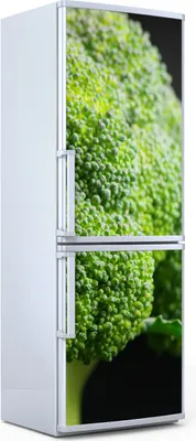Produktbild von Magnete Dekorative - 70 cm x 190 cm - Küche - Magnetmatte Kühlschrankmagnete - Gemüse Brokkoli