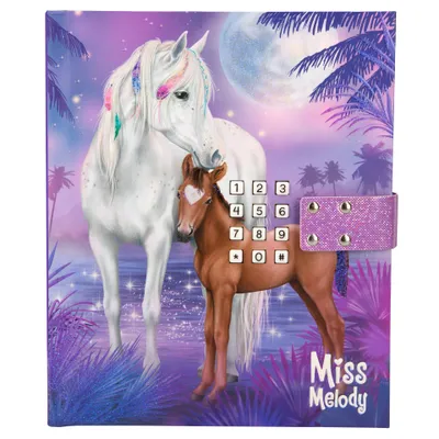 Produktbild von Depesche Miss Melody Tagebuch mit Zahlencode-Schloss