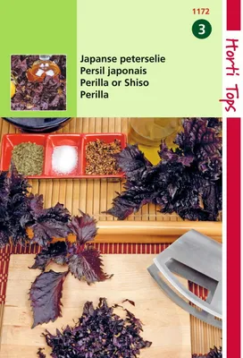 Produktbild von Perilla Rotblättrig | Kräutersamen von Hortitops