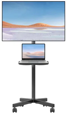 TV-Rollwagen, höhenverstellbar, bis 35 kg, VESA 400x400 mm