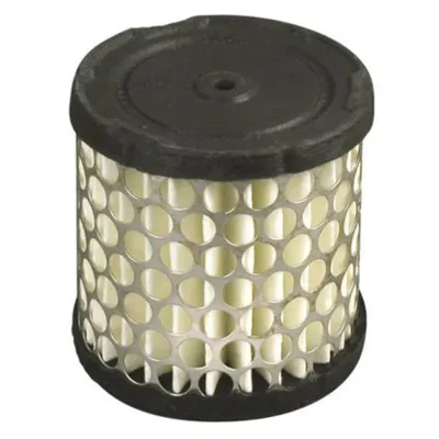 Image de Filtre à air Briggs & Stratton 2–5 CV horizontal + vertical (396424)