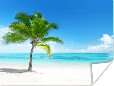 Produktbild von MuchoWow® Poster Palme - Strand - Meer - Sommer 160x120 cm - Foto Plakat
