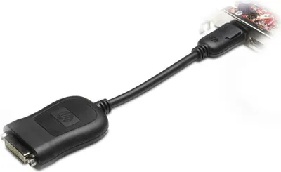 Produktbild von HP 484156-001, DVI-D, DisplayPort, Schwarz, Männlich/Weiblich
