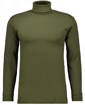 Ragman H-T-Shirt 1/1 Arm Shirt turtle neck in grün