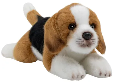 Immagine prodotto di Carl Dick Beagle circa 20 cm, peluche, peluche, peluche 3717
