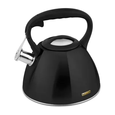 A black whistling kettle with a silver spout and a black handle, shown against a white background.
