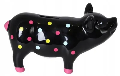 Produktbild von Ewax Keramik Sparschwein mit bunten Punkten