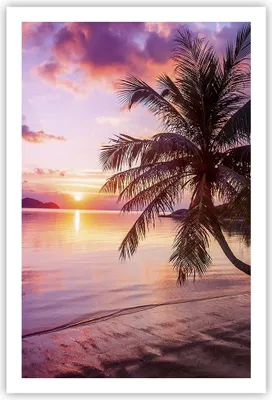 Produktbild von Poster - Poster ohne Rahmen - Strand Meer Palme - 61x91,5 cm - Wand Bild - Wanddeko - Wandbilder - Kunstposter - Wandposter - Bilder - Kunstdruck - Wanddekoration - Wandbild - P2XPA61x91-3912
