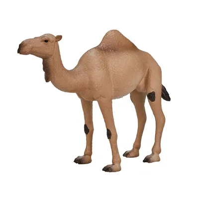 Obrázek produktu pro Mojo Fun Arabian Camel, 3 rok/roky, Wildlife, Béžová, Hnědá, Bílá, Polyvinylchlorid (PVC)