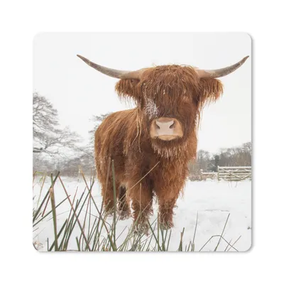 Produktbild von MuchoWow® Mauspad Mousepad Schottischer Highlander - Schnee - Winter 20x20 cm - Mousepads - Maus Mat - Pad - Mausunterlage - Desk Mat - Bureauartikeln