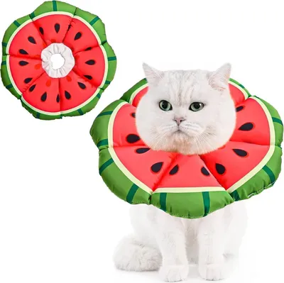 Obrázok produktu pre Obojok pre mačky - Nastaviteľný obojok proti olizovaniu, melón, stredný