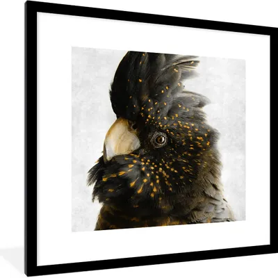 Produktbild von MuchoWow® MuchoWow® Gerahmtes Poster Kakadu - Schwarz - Gold - Beton 40x40 cm - Poster mit zchwarzem Bilderrahmen - Poster - Plakat im Rahmen