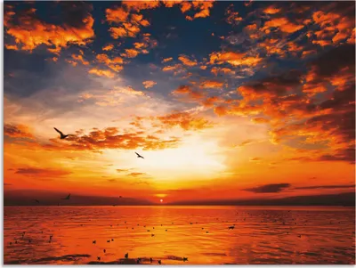 Produktbild von ARTland Wandbild Alu für Innen & Outdoor Sonnenuntergang am Strand Größe: 60x45 cm