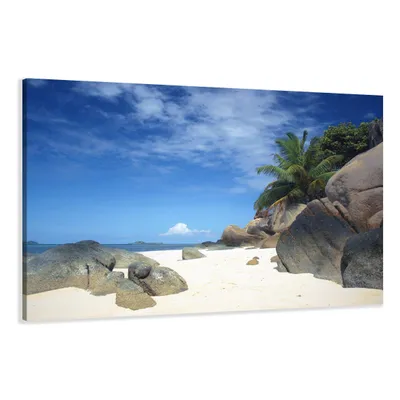 Produktbild von 120 x 80 cm Bild auf Leinwand Palme Strand 5005-VKF deutsche Marke und Lager  -   fertig gerahmt , exklusive Markenware von Visario