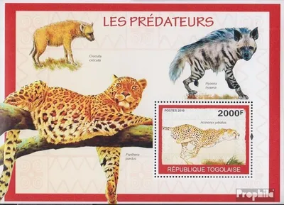 Produktbild von Briefmarken Togo 2010 Mi Block504 (kompl.Ausg.) postfrisch Raubtiere