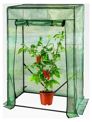 Produktbild von Tomatengewächshaus Folie: Gewächshaus für Tomaten mit aufrollbarer Tür, 100 x 50 x 150 cm, grün