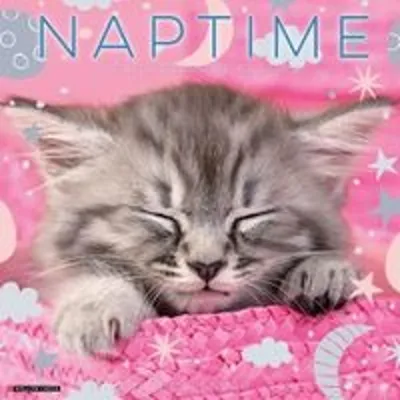 Produktbild von Naptime: A Cat's Favorite Pastime 2026 Wall Calendar