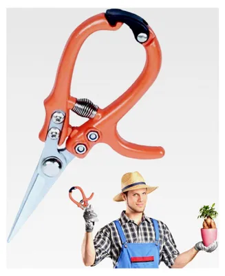 Produktbild von Gartenschere – 20 cm professionelle Blumenschere, Astschneider, Obstpflückschere