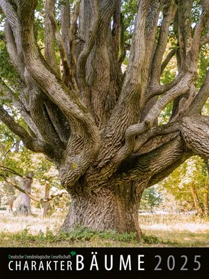 Image de Arbres de personnages 2025