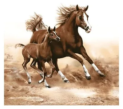Produktbild von Pferd Mare with Foal Serviette 20 Stk 33x33 cm