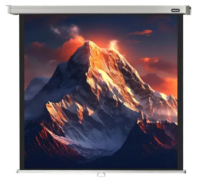 Produktbild von celexon Leinwand Rollo Professional 220 x 220 cm - 122"