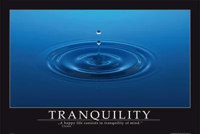 Immagine prodotto di Poster motivazionale - Gocce di tranquillità + 1 poster 61x91,5 cm
