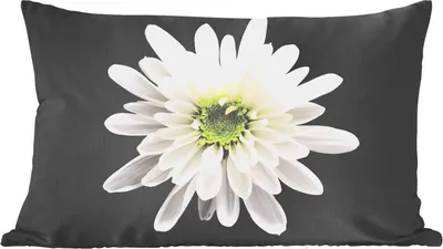 Produktbild von MuchoWow® Zierkissen Sofakissen Wohnzimmer Dekokissen 50x30 cm Makro - Weiß - Blume - Wohnzimmerdekoration - Polster mit Photo