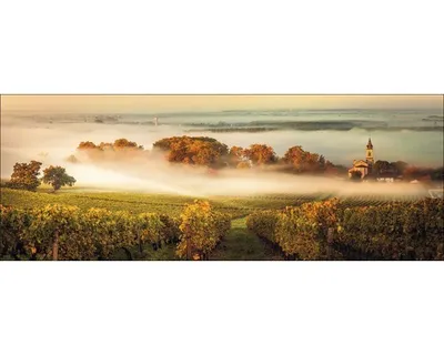 Produktbild von Glasbild Landschaft Landhausstil 125x50 cm