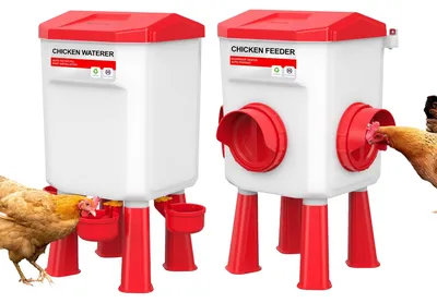 Zdjęcie produktu dla Elzusha - Automatyczny dozownik wody i karmy dla kur - pojemność 11 litrów / 12 kg