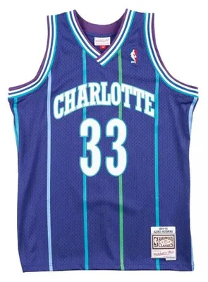 Image de Maillot NBA Alonzo Mourning Charlotte Hornets 1994-95 Mitchell & ness Hardwood C