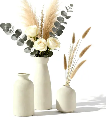 Imagen del producto de Juego de jarrones de cerámica, 3 jarrones pequeños, color beige, ideales para flores de pampa y flores secas
