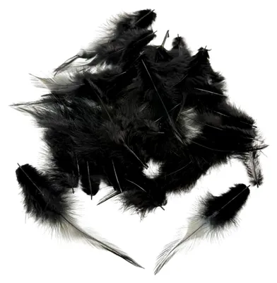Produktbild von 120 Stück Schwarze Natürliche Gänsefedern zum Basteln, 14-22 cm, Geeignet für DIY Projekte, Traumfänger, Ohrringe, Hochzeitsdekorationen und Kostüme