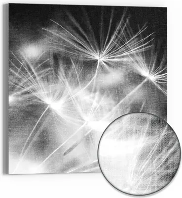 Produktbild von DEQORI Hybrid Leinwand Bild 50x50 cm 'Pusteblumenflug' Wandbild Glas flach modern