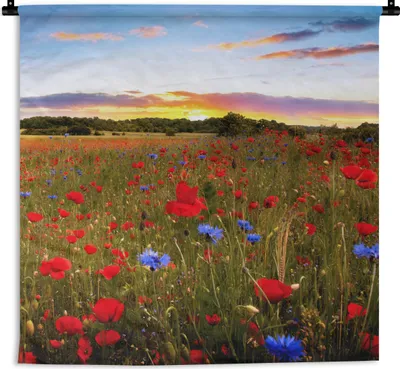 Produktbild von MuchoWow® Wandteppich Wandbehang Blumen - Sonnenuntergang - Farben 150x150 cm Tapisserie Dekoration Wandtuch - Wohnaccessoires - Modernes