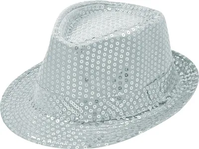Produktbild von Paillettenhut silber