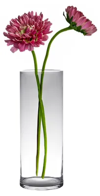 Produktbild von Chopper Glas Blumenvase - Transparent - Glas - D19 x 60 cm