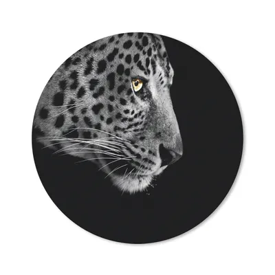 Produktbild von MuchoWow® Mauspad Mousepad Leopard - Schwarz - Weiß 20x20 cm - Mousepads - Maus Mat - Pad - Mausunterlage - Schreibtischmatte