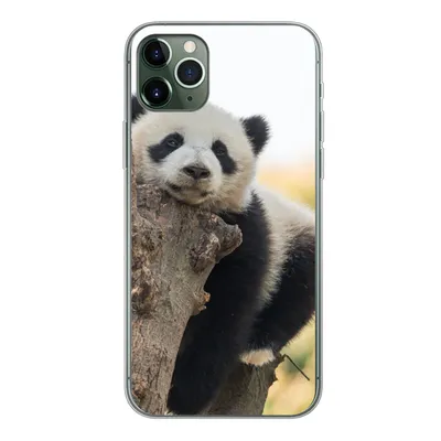 Produktbild von MuchoWow® Handyhülle Schutzhülle Hülle für iPhone 11 Pro Max Panda - Baum - Licht Silikon Softcase Handy Hülle - Schutz