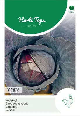 Produktbild von Rotkohl Roodkop | Rotkohlsamen von Hortitops
