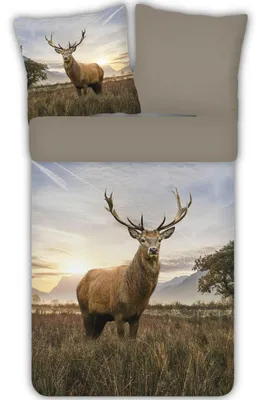 Produktbild von ESPiCO Bettwäsche Trendy Bedding Hirsch Renforcé 135 cm x 200 cm