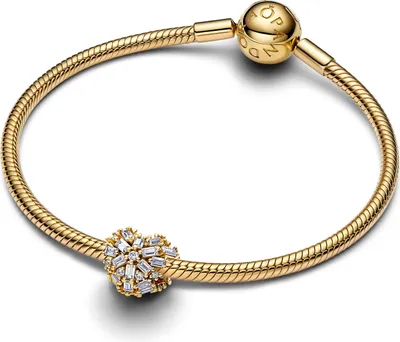 Immagine prodotto di Ciondoli e charms Pandora per donna