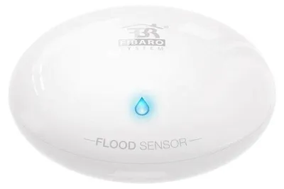 Zdjęcie produktu dla Czujnik poziomu wody i temperatury Nice Flood-Control (FGFS-101 ZW5 EU)