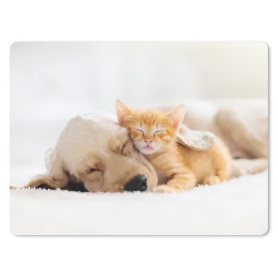 Produktbild von MuchoWow® Mauspad Mousepad Tiere - Hund - Kätzchen - Rot 23x19 cm - Mousepads - Maus Mat - Pad - Mausunterlage - Schreibtischunterlage - Mauspad