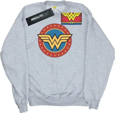 Produktbild von DC Comics - Sweatshirt für Herren BI50966 (XXL) (Grau)